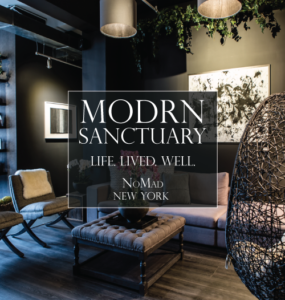 Episode 48: Alexandra Janelli, Founder of Modrn Sanctuary